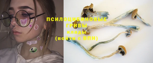 a pvp Вязьма