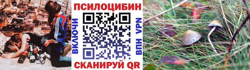 Купить закладки  Рассказово  Галлюциногенные грибы Psilocybine cubensis 