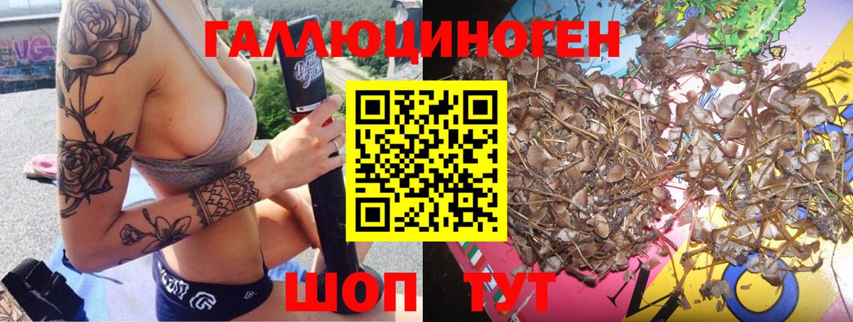 Галлюциногенные грибы MAGIC MUSHROOMS  Галлюциногенные грибы мицелий  Рассказово 