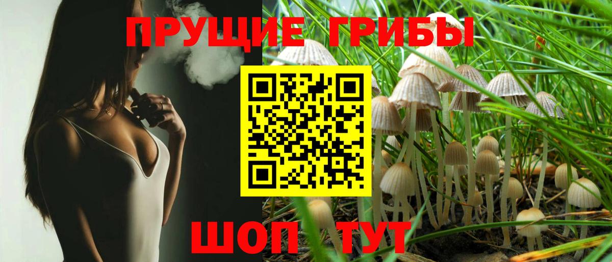Рассказово  Галлюциногенные грибы Psilocybine cubensis  Вход с VPN 