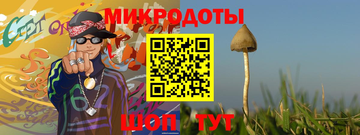 Псилоцибиновые грибы мицелий Рассказово