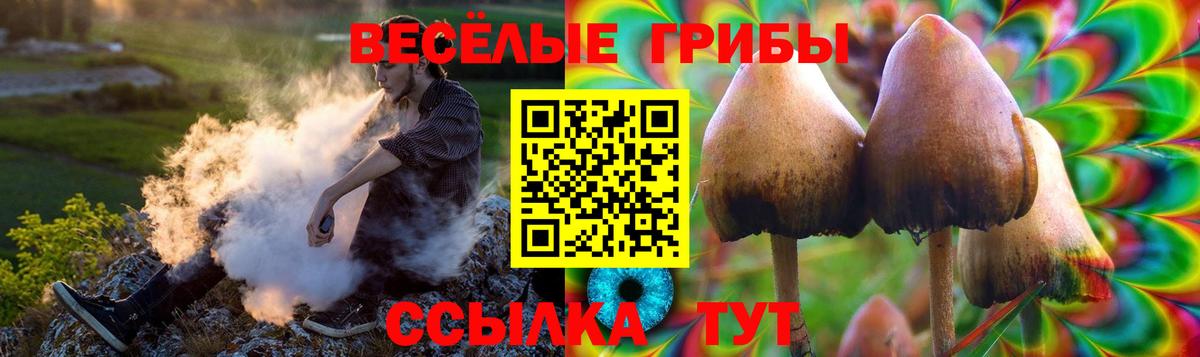 Псилоцибиновые грибы прущие грибы Рассказово